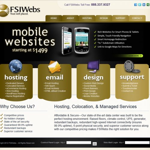 FSI Webs